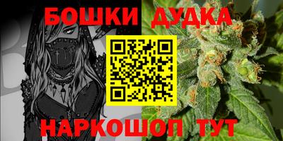 PSILOCYBIN Нальчик