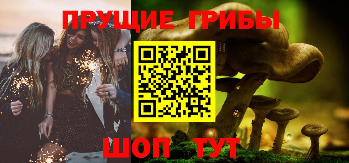 Ставрополь  Псилоцибиновые грибы мицелий  купить наркотики цена  Вход с VPN 